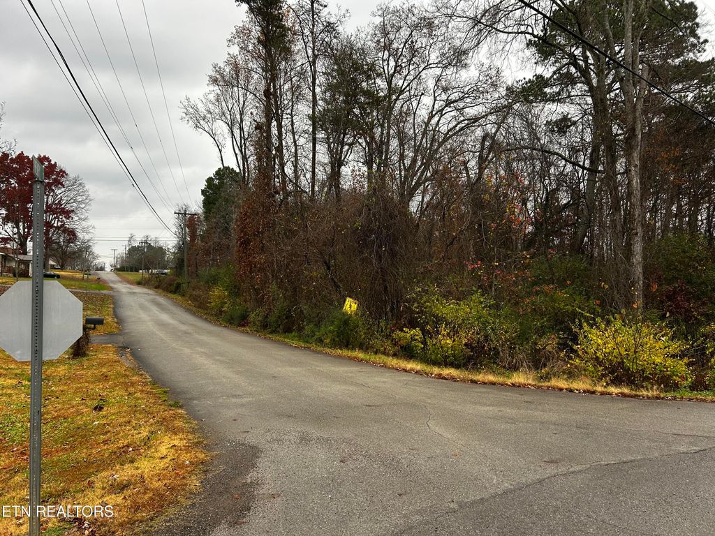 Photo of Henry St, Madisonville, TN 37354 (MLS # 1322669)