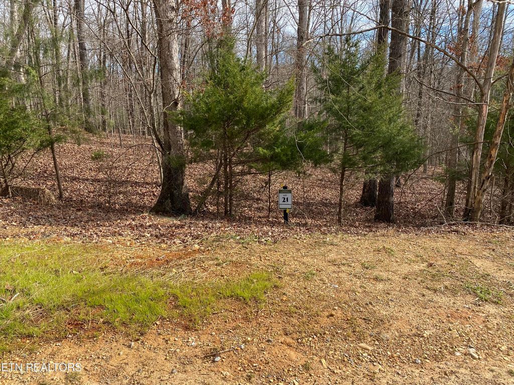 Photo of 1566 Old Dogwood Tr, Loudon, TN 37774 (MLS # 1328246)