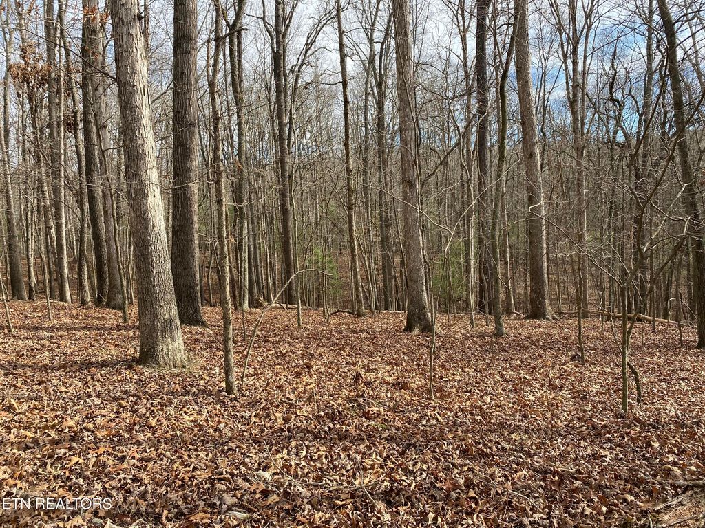 Photo of 1566 Old Dogwood Tr, Loudon, TN 37774 (MLS # 1328246)