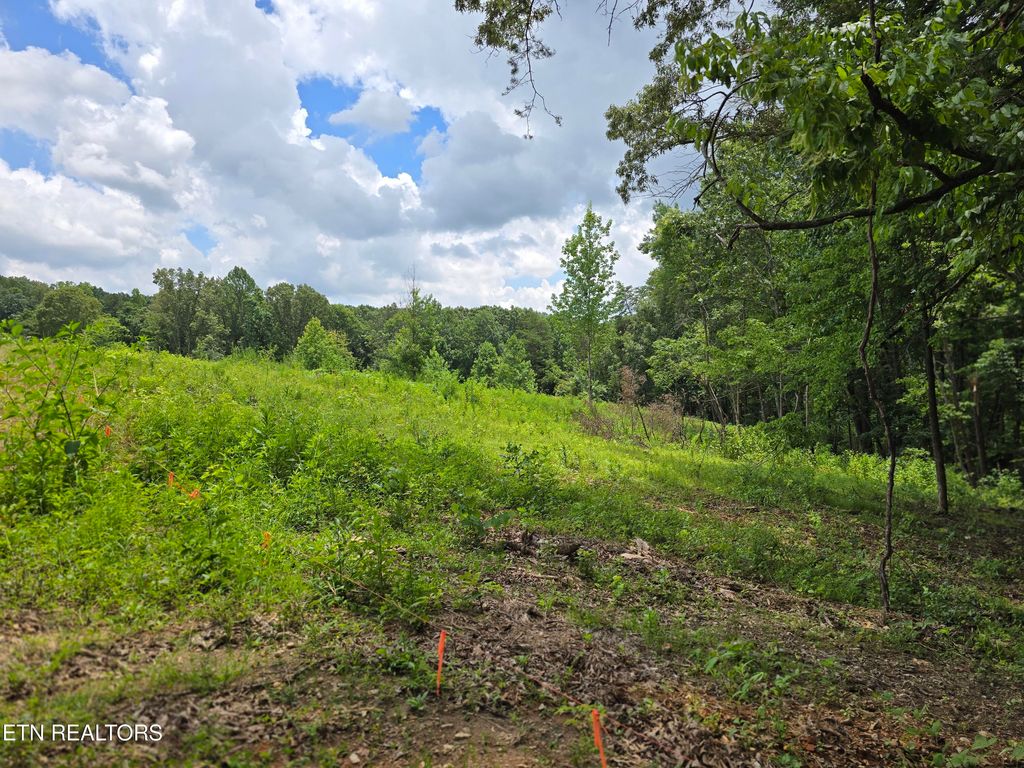 Photo of 230 Wells Rd #Lot 9, Powell, TN 37849 (MLS # 1283708)