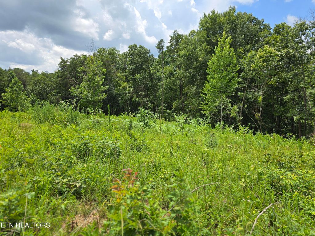 Photo of 230 Wells Rd #Lot 9, Powell, TN 37849 (MLS # 1283708)