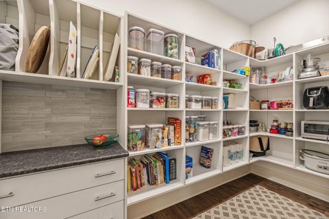 Tiny photo for 12904 Highwick Circle, Knoxville, TN 37934 (MLS # 1332347)