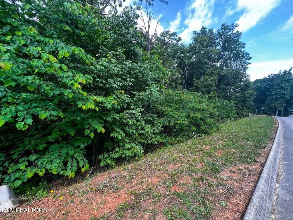 Photo of 1955 Turner Landing Rd, Russellville, TN 37860 (MLS # 1245082)