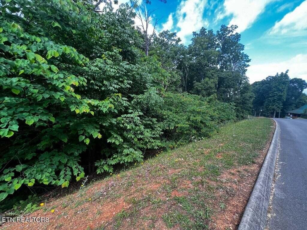 Photo of 1955 Turner Landing Rd, Russellville, TN 37860 (MLS # 1245082)