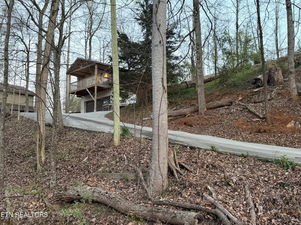 Photo of 506 Lindsey Mill Circle, Rocky Top, TN 37769 (MLS # 1335038)