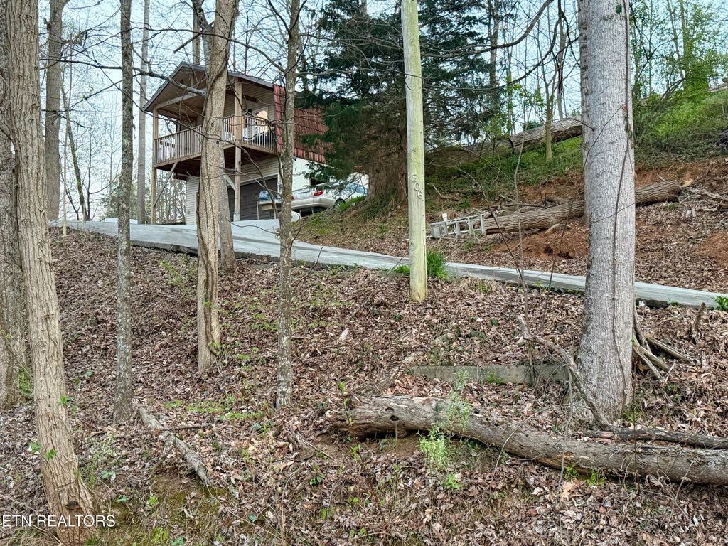 Photo of 506 Lindsey Mill Circle, Rocky Top, TN 37769 (MLS # 1335038)