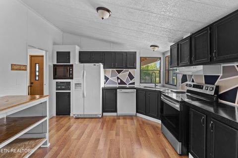 Tiny photo for 1424 River Breeze Drive, Sevierville, TN 37876 (MLS # 1342223)