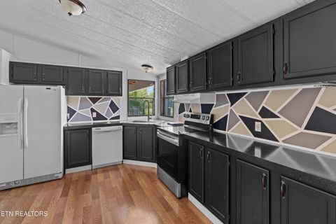 Tiny photo for 1424 River Breeze Drive, Sevierville, TN 37876 (MLS # 1342223)