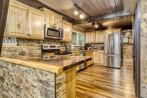 Tiny photo for 1134 Ski Mountain Rd, Gatlinburg, TN 37738 (MLS # 1326742)