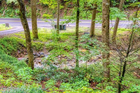 Tiny photo for 1134 Ski Mountain Rd, Gatlinburg, TN 37738 (MLS # 1326742)