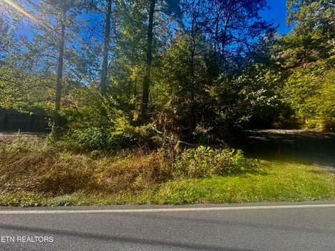 Photo of 16 Powdermill Rd, Gatlinburg, TN 37738 (MLS # 1360389)