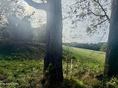 Photo of HARMON Rd, New Tazewell, TN 37825 (MLS # 1317715)