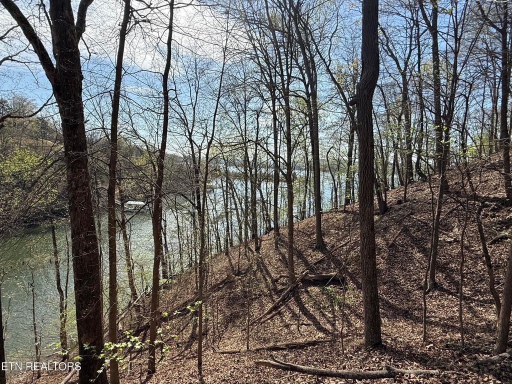 Photo of 39 Eerie Point #lot 39, Rockwood, TN 37854 (MLS # 1335178)