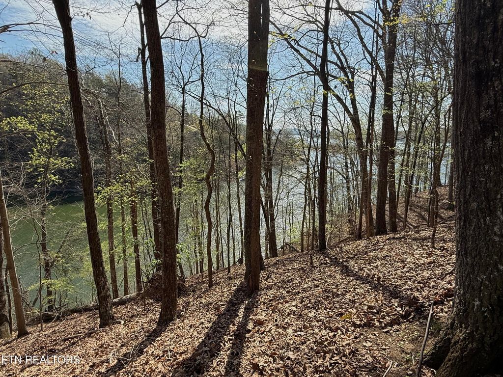 Photo of 39 Eerie Point #lot 39, Rockwood, TN 37854 (MLS # 1335178)