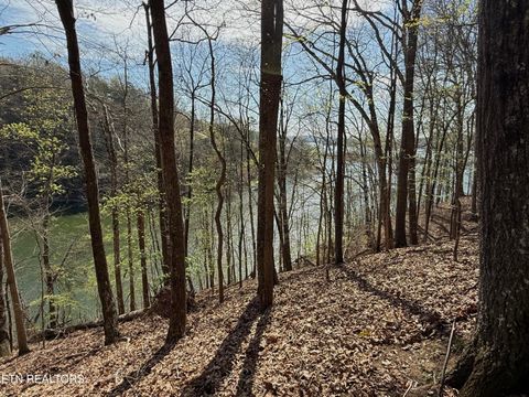 Tiny photo for 39 Eerie Point #lot 39, Rockwood, TN 37854 (MLS # 1335178)