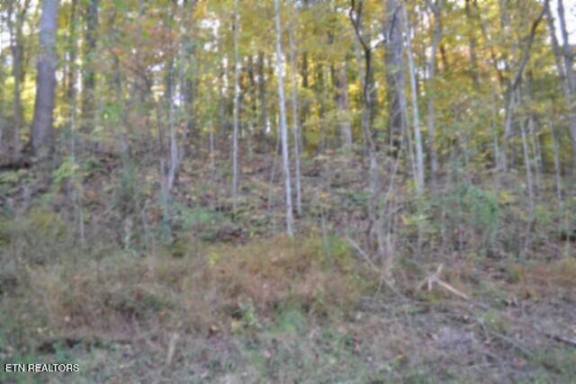 Photo of 62 Apache Rd, Jamestown, TN 38556 (MLS # 1360625)