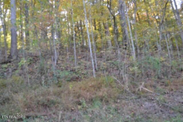 Photo of 62 Apache Rd, Jamestown, TN 38556 (MLS # 1360625)