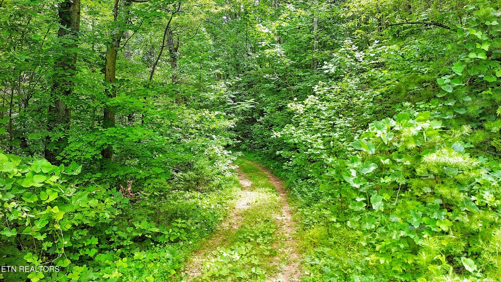 Photo of 50 S Highway 340, Parrottsville, TN 37843 (MLS # 1350309)