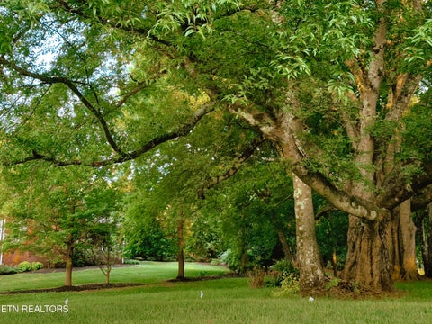 Tiny photo for 12683 Bayview Drive, Knoxville, TN 37922 (MLS # 1347139)