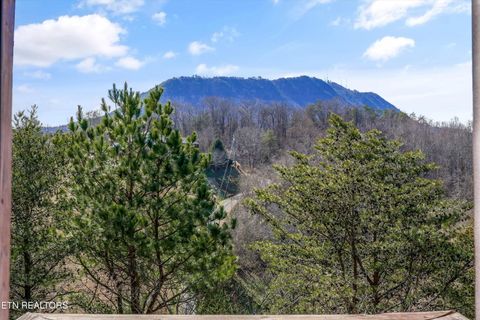 Tiny photo for 1483 Honey Oaks Way, Sevierville, TN 37876 (MLS # 1329334)