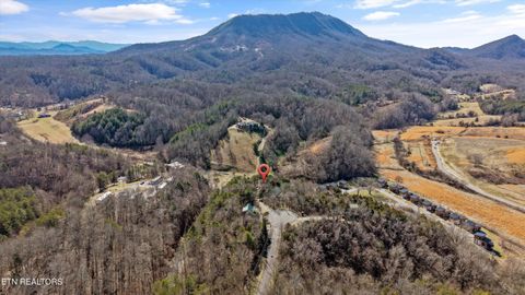 Tiny photo for 1483 Honey Oaks Way, Sevierville, TN 37876 (MLS # 1329334)