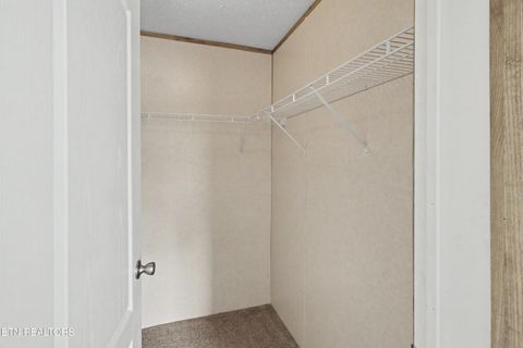 Tiny photo for 7512 Thompson School Rd, Corryton, TN 37721 (MLS # 1341665)