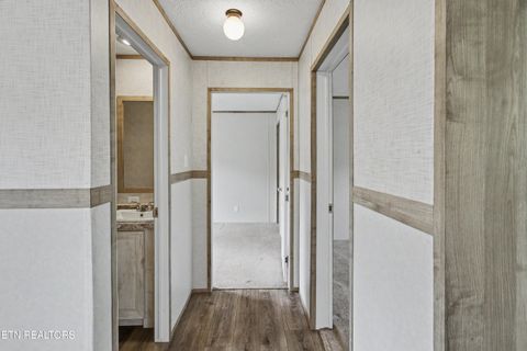 Tiny photo for 7512 Thompson School Rd, Corryton, TN 37721 (MLS # 1341665)