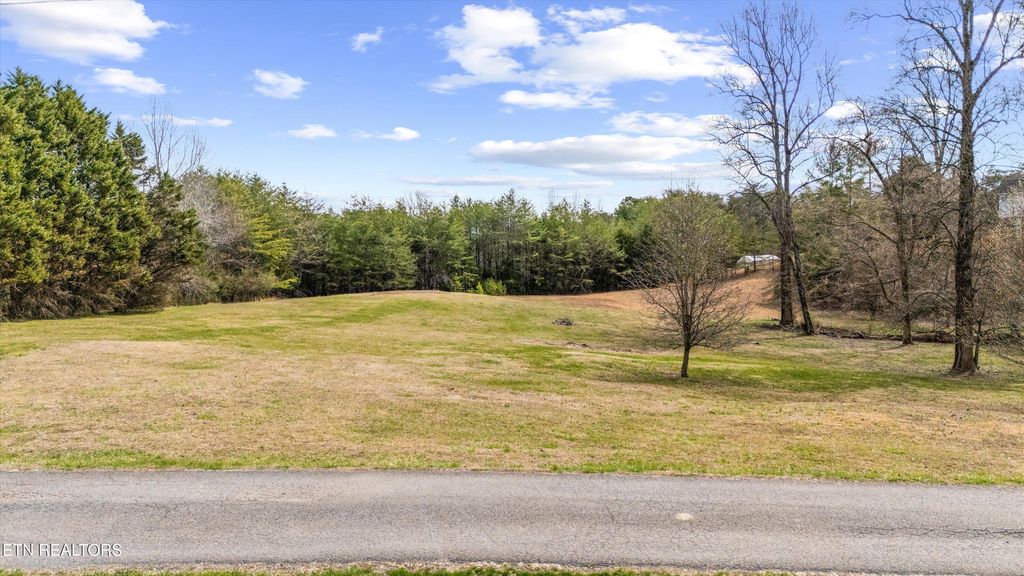 Photo of 136 Hidden Circle, Louisville, TN 37777 (MLS # 1292942)