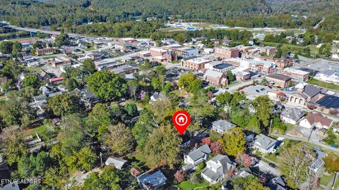 Tiny photo for 514 Clinton St, Harriman, TN 37748 (MLS # 1318933)