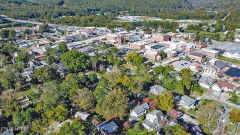 Tiny photo for 514 Clinton St, Harriman, TN 37748 (MLS # 1318933)