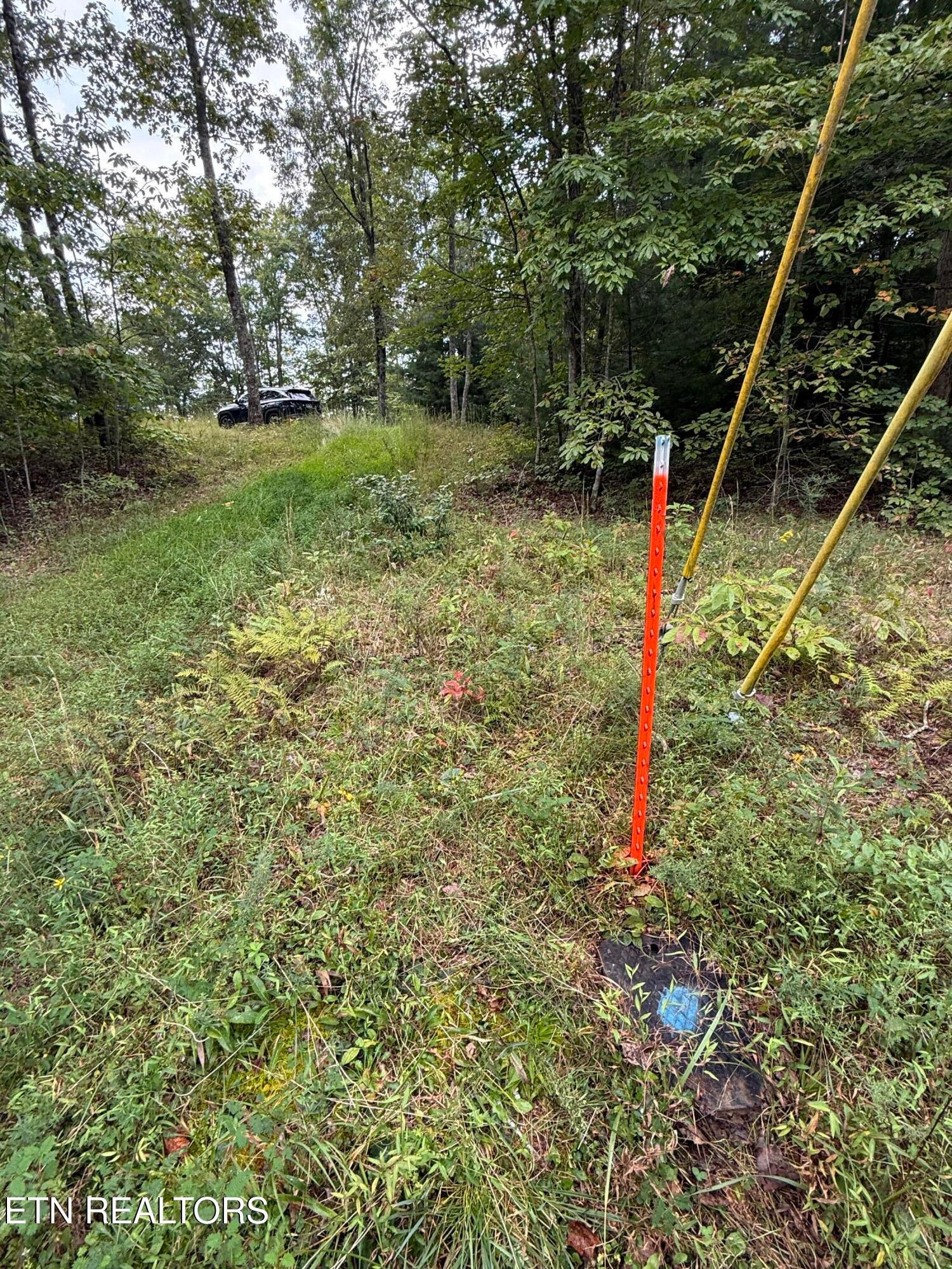 TBD Green Ridge Tr