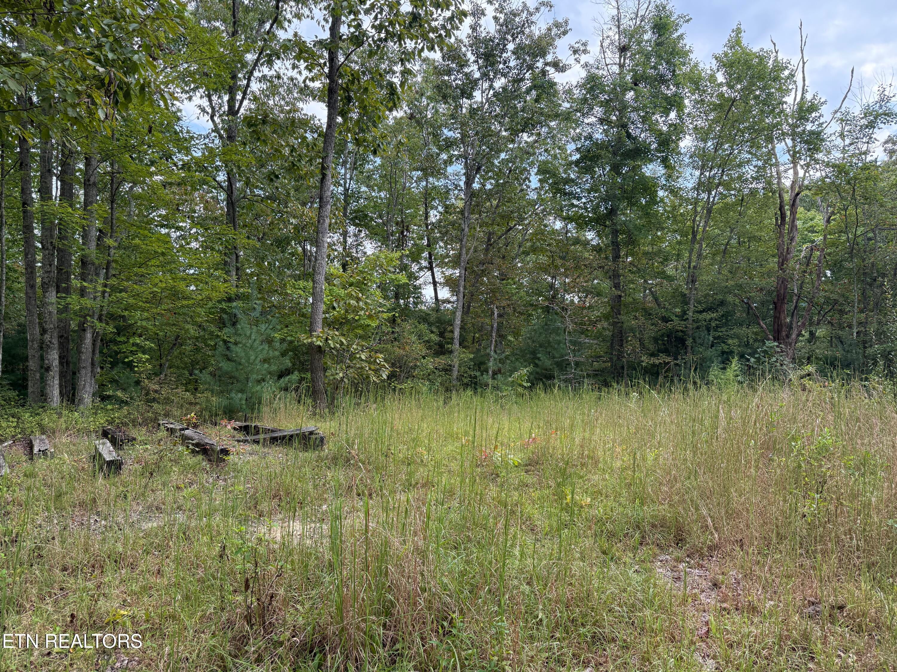 TBD Green Ridge Tr
