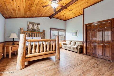 Tiny photo for 203 Amet Way, Cosby, TN 37722 (MLS # 1328502)