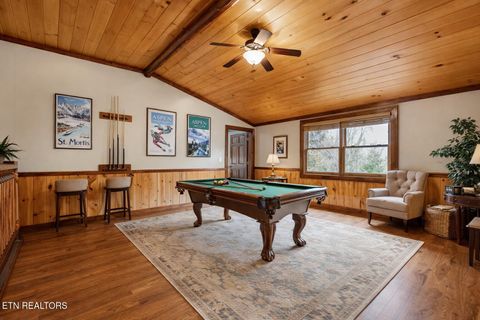 Tiny photo for 203 Amet Way, Cosby, TN 37722 (MLS # 1328502)