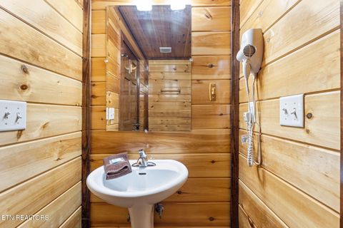 Tiny photo for 203 Amet Way, Cosby, TN 37722 (MLS # 1328502)