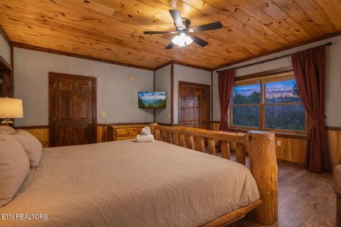 Tiny photo for 203 Amet Way, Cosby, TN 37722 (MLS # 1328502)