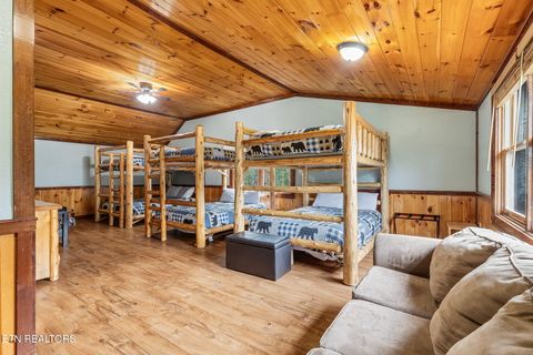 Tiny photo for 203 Amet Way, Cosby, TN 37722 (MLS # 1328502)