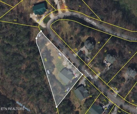 Tiny photo for 203 Amet Way, Cosby, TN 37722 (MLS # 1328502)