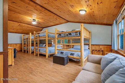 Tiny photo for 203 Amet Way, Cosby, TN 37722 (MLS # 1328502)