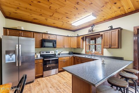 Tiny photo for 203 Amet Way, Cosby, TN 37722 (MLS # 1328502)