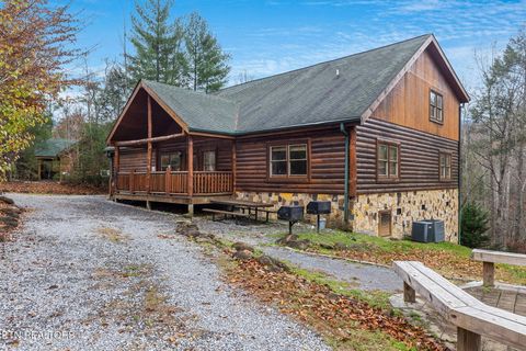 Tiny photo for 203 Amet Way, Cosby, TN 37722 (MLS # 1328502)