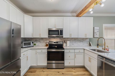 Tiny photo for 701 Poplar St, Loudon, TN 37774 (MLS # 1331153)