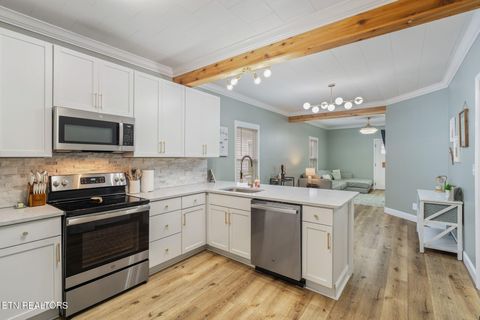 Tiny photo for 701 Poplar St, Loudon, TN 37774 (MLS # 1331153)