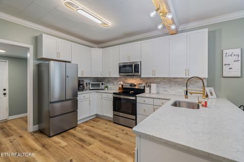 Tiny photo for 701 Poplar St, Loudon, TN 37774 (MLS # 1331153)