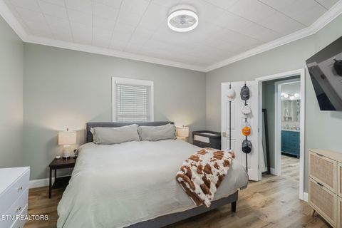 Tiny photo for 701 Poplar St, Loudon, TN 37774 (MLS # 1331153)