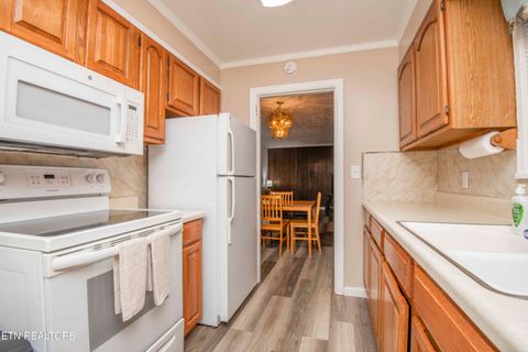 Tiny photo for 209 N Laurel Circle, Knoxville, TN 37912 (MLS # 1335408)
