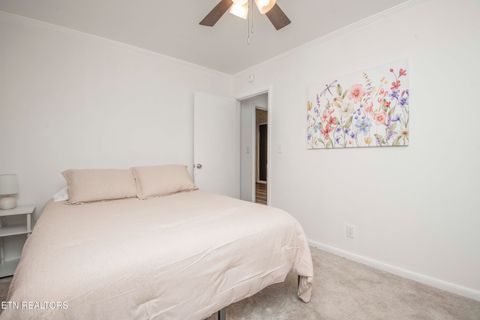 Tiny photo for 209 N Laurel Circle, Knoxville, TN 37912 (MLS # 1335408)