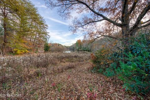 Tiny photo for 533 Epperson Rd, Tellico Plains, TN 37385 (MLS # 1322026)