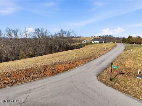 Tiny photo for 284 Smokey Quartz Blvd, New Tazewell, TN 37825 (MLS # 1331296)