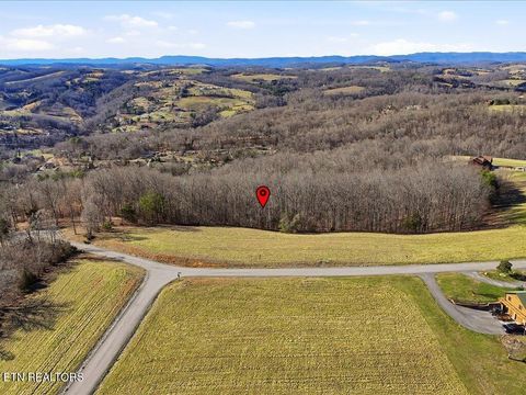 Tiny photo for 284 Smokey Quartz Blvd, New Tazewell, TN 37825 (MLS # 1331296)